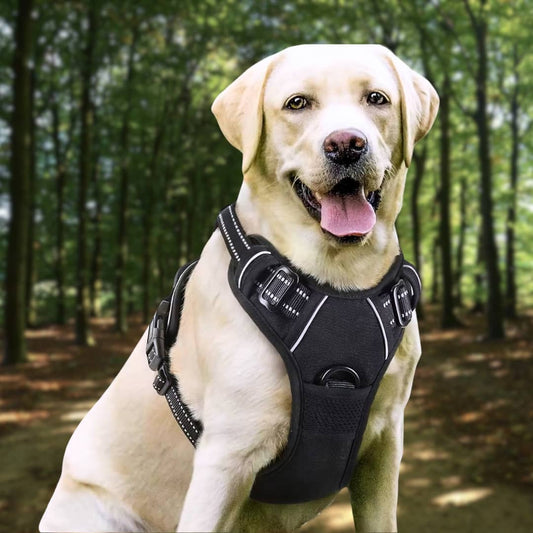 Pup Safety Harness