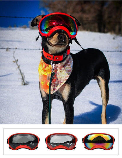 Doggy Goggles