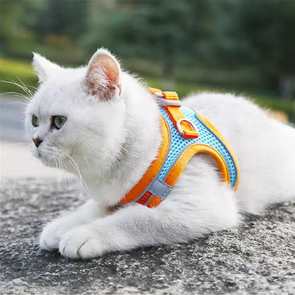 Kitty Leash